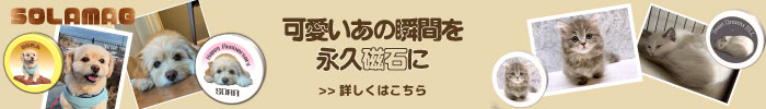そらマグ ペットの写真をプリントしたオリジナルマグネット 詳しくはこちら