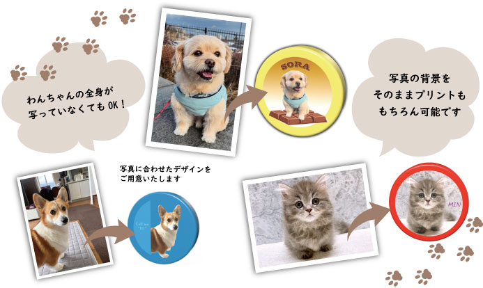 そらマグ ペットの写真をプリントしたマグネット